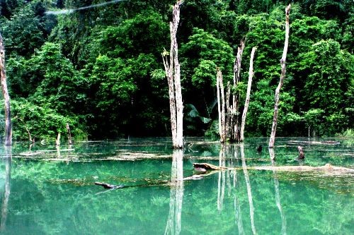 Cuc Phuong National Park - ảnh 3